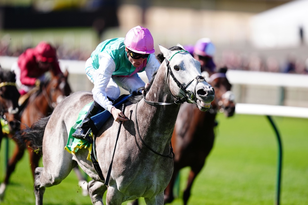 Field Of Gold was an unlucky loser at Newmarket but gets a chance at redemption over in Ireland