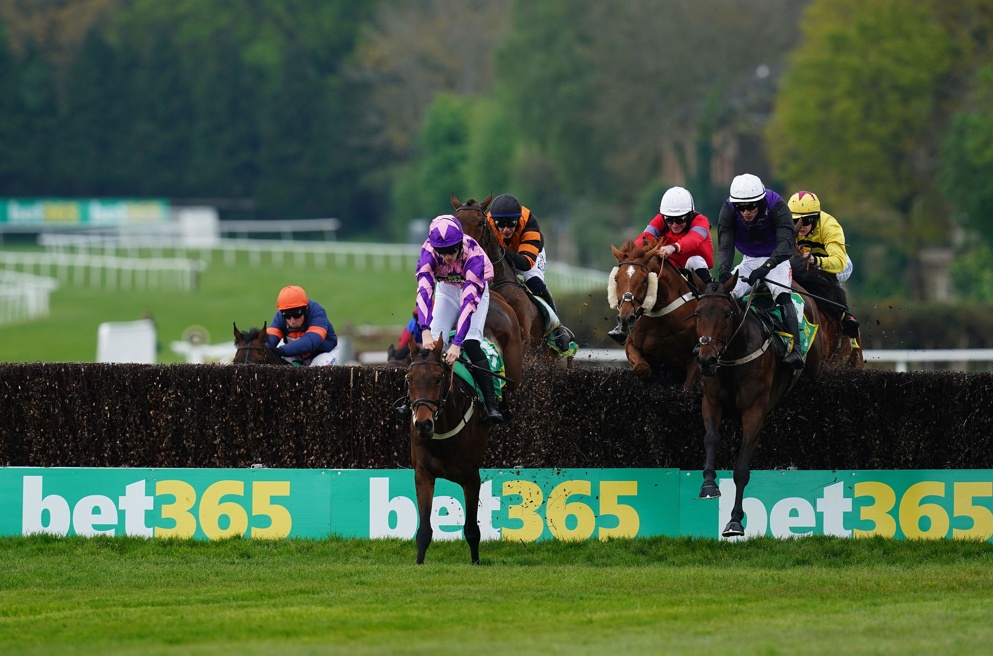 Minella Cocooner is back to defend his bet365 Gold Cup crown