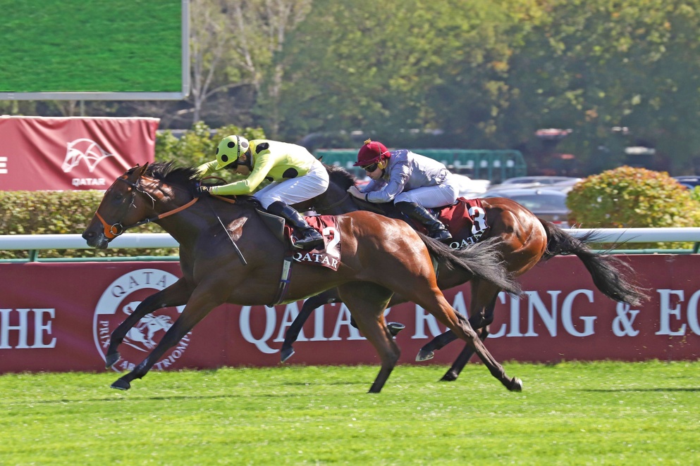 Rosallion was the best three year old miling colt in 2024